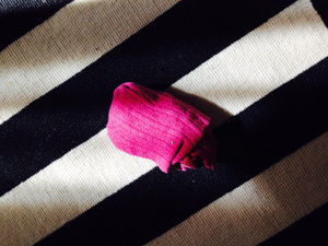 pinksocks