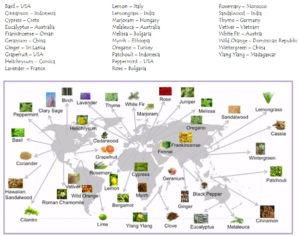 doterra-source-map