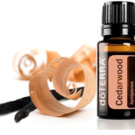 CEDARWOOD